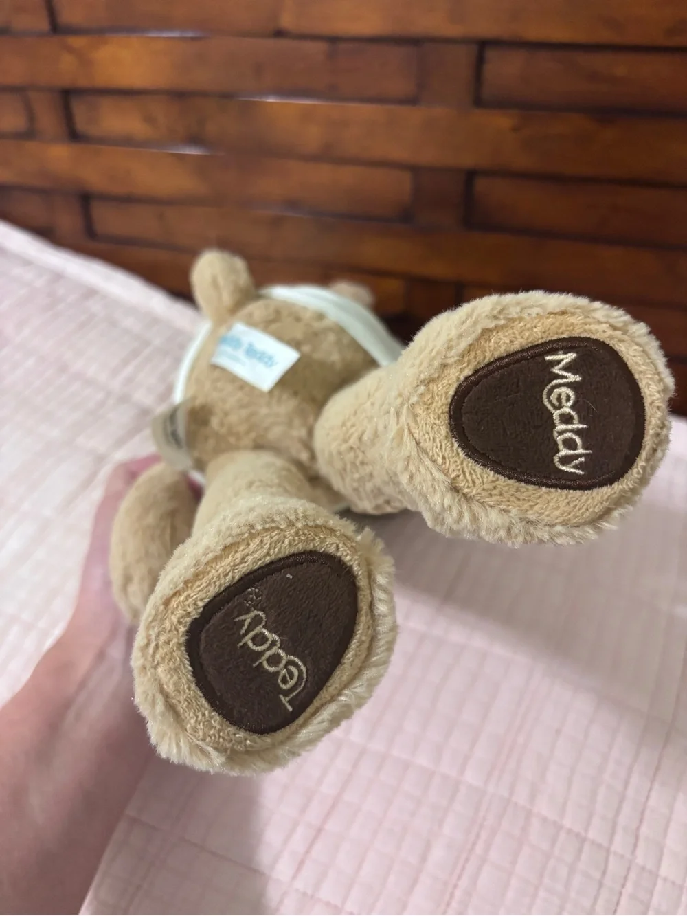 Meddy Teddy meddy teddy